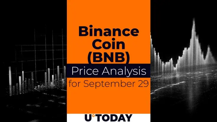 Binance Coin (BNB) Price Prediction for September 29
