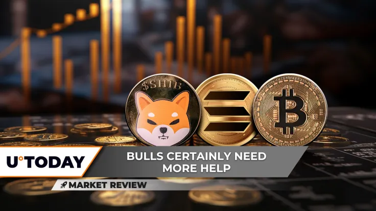 Shiba Inu (SHIB) Delivers Grim Volume Signal, Bitcoin (BTC): Is it Trying to Break $90,000? Solana (SOL): Days Before Recovery?
