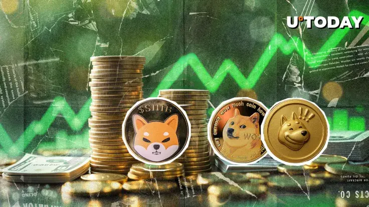 Meme Coins DOGE, SHIB in Green, BONK Amid Top Gainers