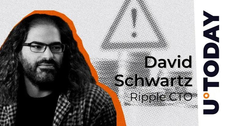 Ripple CTO Issues Multiple Scam Warnings: Details