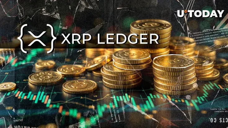 Are XRP Wallets Safe? Top Ripple Executive Issues 'Critical Warning'