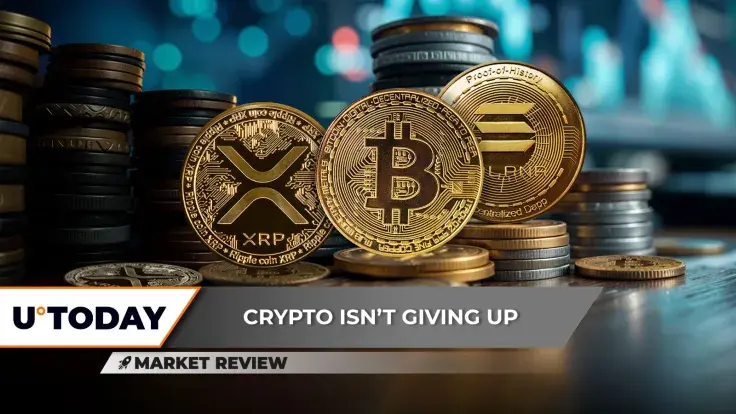 XRP: Another Battle Incoming, Bitcoin's (BTC) Next Stop Is $94,000, Solana (SOL) Short-Term Rally Confirmed