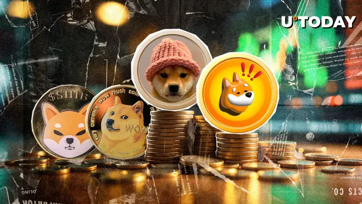 BONK, WIF Beat SHIB, DOGE in Gains Amid BTC Boom