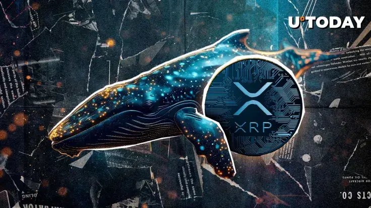 98,292,623 XRP Transferred Mysteriously as New Whale Is Born