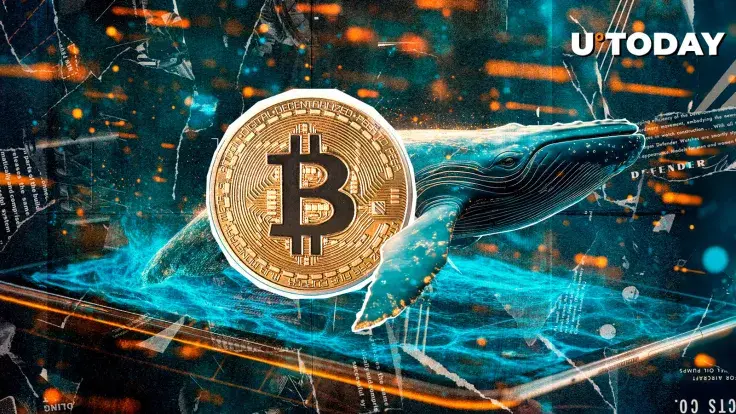 $1 Billion BTC Leaves Major US Crypto Exchange, Are Whales Accumulating?