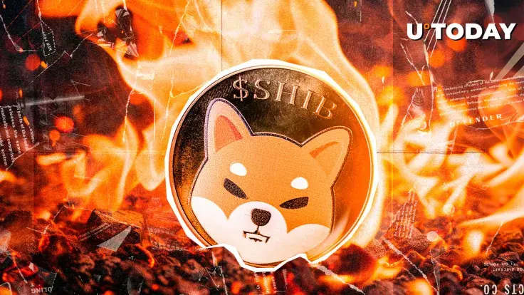 SHIB Burns Skyrocket 12,278% — What's Happening?