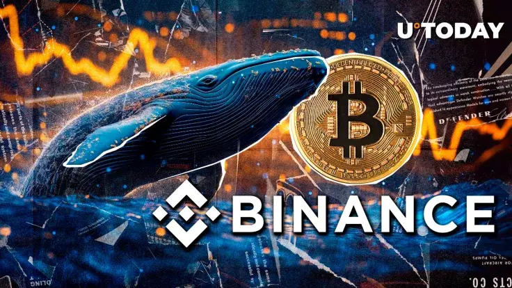 Dormant Bitcoin Whale Makes Massive BTC Purchase on Binance