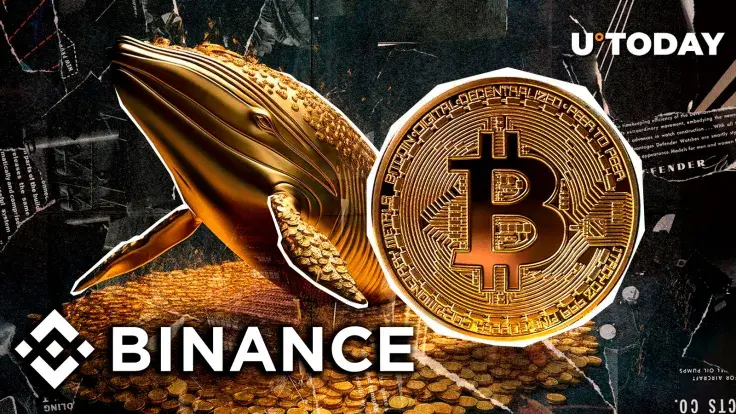 Bitcoin (BTC) Whales on Binance Pushing Price Higher, Data Says