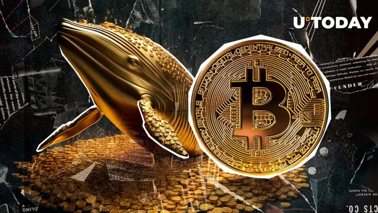 $4,000,000 Bitcoin (BTC) Acquisition: Are Whales Back?