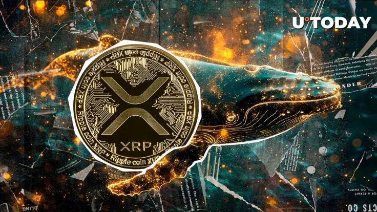 900,000,000 XRP Over Past Month – Are Whales Bullish?