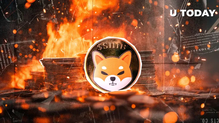 53,791,007 SHIB and 2,416.44% Surge in Just Hours – What’s Happening?