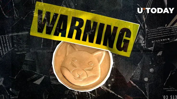 Urgent Shiba Inu Message Sparks Concern, What Happened?
