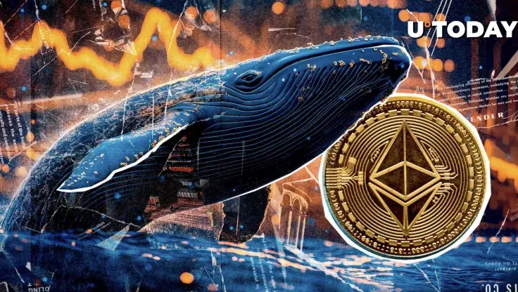 Massive Ethereum ICO Whale Suddenly Makes $12 Million ETH Transfer to Top Exchange