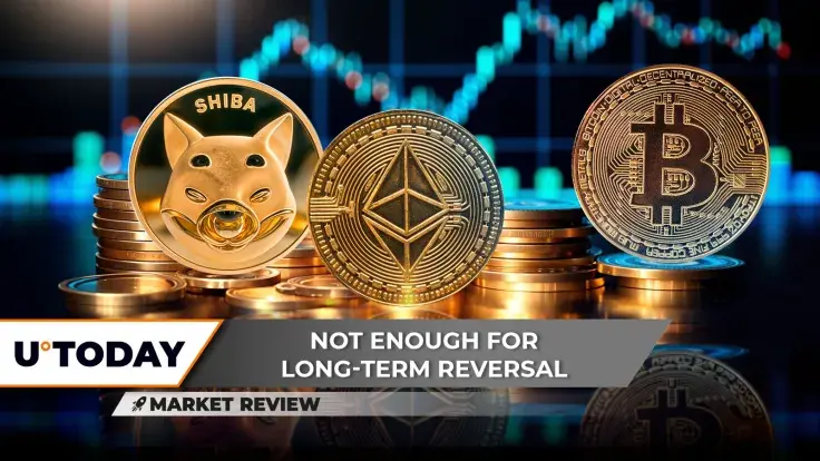 Shiba Inu (SHIB): This Is Unacceptable, Ethereum (ETH): Golden Skyrocketing Looms, Bitcoin (BTC) to Lose $100,000?