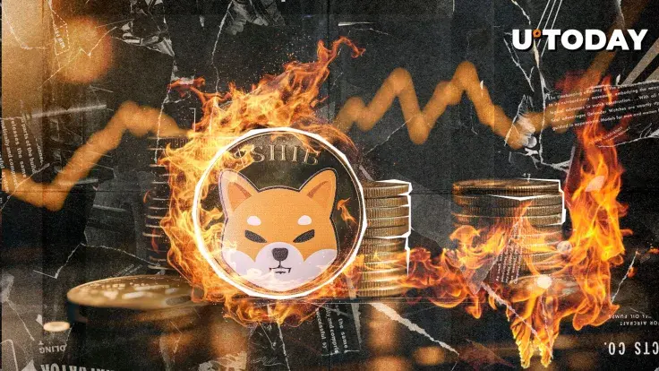 SHIB Burns Skyrocket 12,833%, Price Reacts Unexpectedly