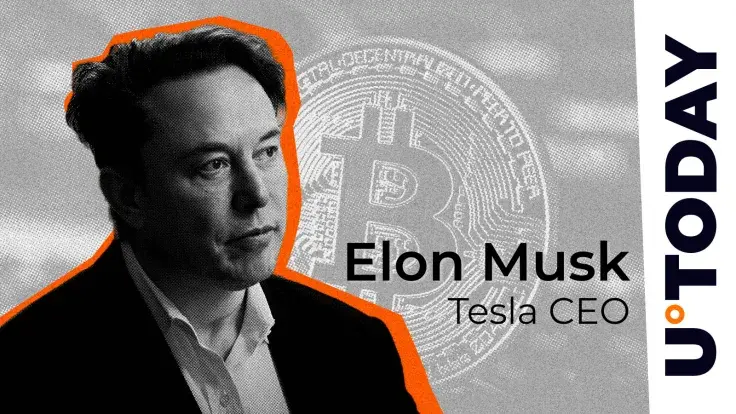 Elon Musk Brings Up Bitcoin 1st Time in 3 Years – ‘Buckle Up,’ Influencer Says