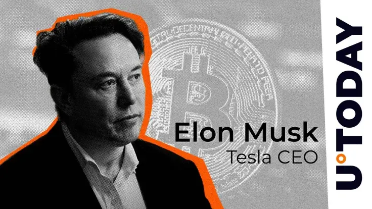 'Buy Bitcoin': Musk's $5 Trillion Debt Warning Seen as BTC Endorsement