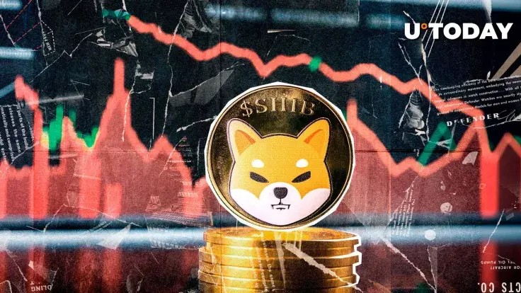 Shiba Inu Whale Transactions Down 91%, What's Happening?