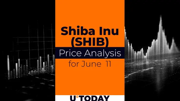 SHIB Price Prediction for June 11