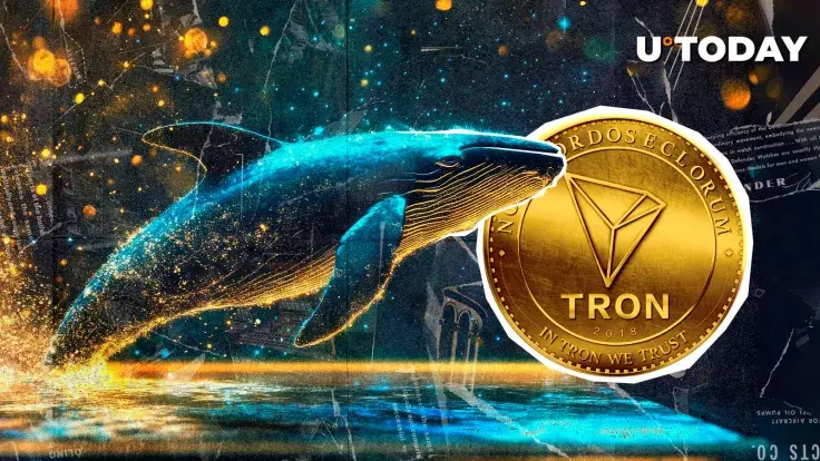 Tron Skyrockets 145% in Whale Moves as $627,240,000 Liquidation Hits Market