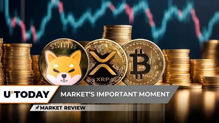 Shiba Inu (SHIB) Needs This Now, This Bitcoin (BTC) Signal Not Great, XRP: First Time in History?