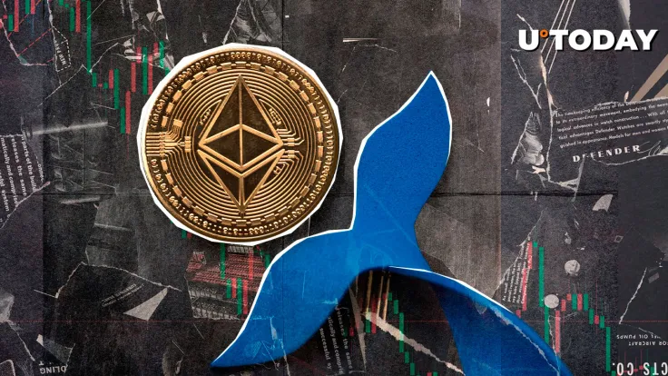 Ethereum (ETH) Whales Disappearing: Details