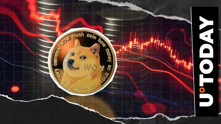Dogecoin Crucial Signal Emerges on Key Indicator Amid Market Drop