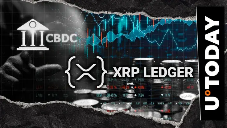 Former Ripple Exec Breaks Silence on CBDC Experiment Impact on XRP Ledger