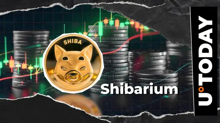 Almost Zero? Shibarium Transactions Sink to New Monthly Low