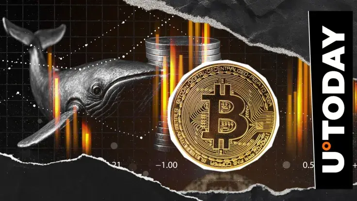 Satoshi-Era Bitcoin Whale Stuns With Sudden Return and $53.6 Million Profit