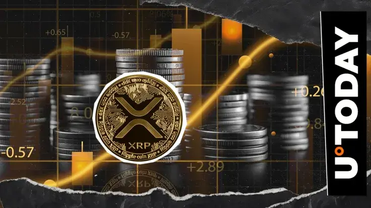 XRP Reserves on Binance Hit Record High: Details