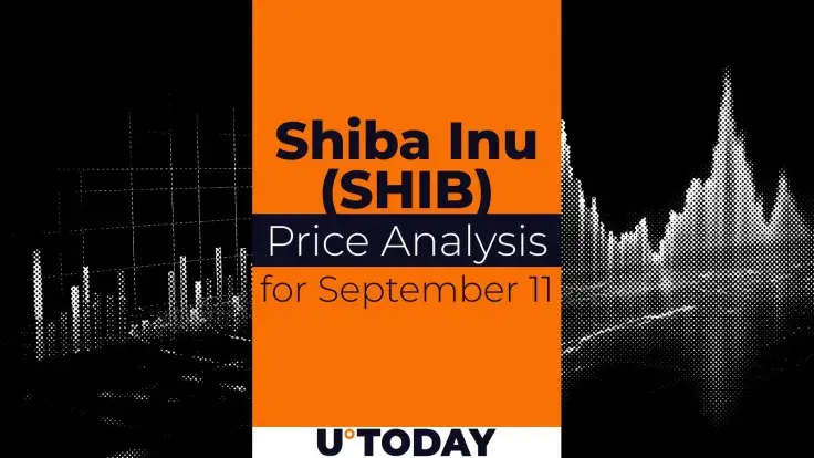 SHIB Price Prediction for September 11