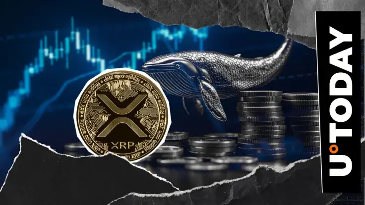 XRP Faces Brutal Whale Shake-Up: 40,000,000 Exit Millionaire Wallets