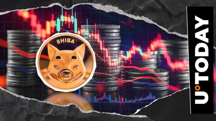 2,600,000,000 Shiba Inu (SHIB) in 24 Hours: Massive Exchange Outflow