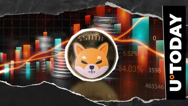 -87% on Key SHIB Metric: What's Happening?