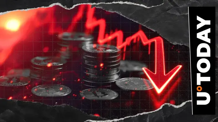 'Don't Trust Fake Pumps': Ted Pillows on Crypto Bloodbath