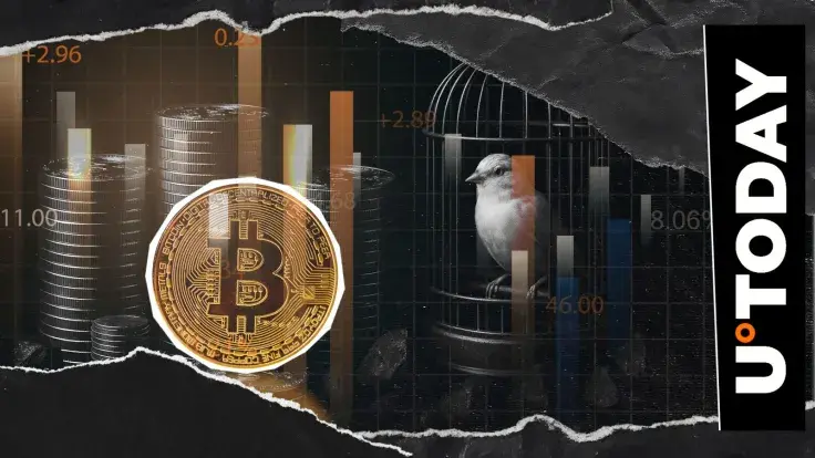'Bitcoin Is Canary in Coal Mine': Here's What It Means in Current Market