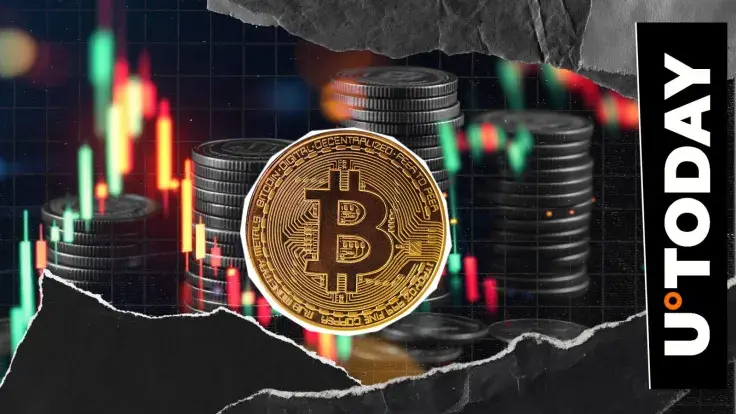 Bitcoin Rockets 4% Amid Massive $442 Million Whale Move