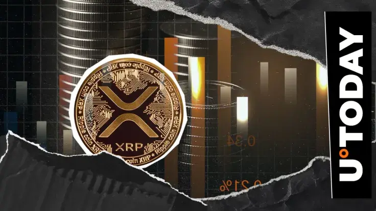 XRP Hit by Crazy 903% Liquidation Imbalance in Just 24 Hours