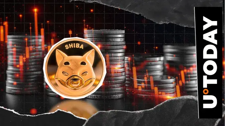 4,057,686 SHIB Burned in Days: What Remains?