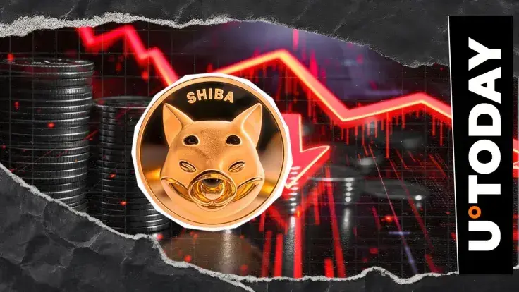 Shiba Inu (SHIB) Recorded -485,685,800,000 Crypto Exchange Netflow: Details