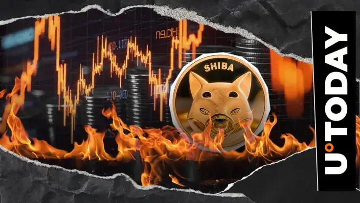 Shiba Inu Burn Rate Rockets as 7,069,830 SHIB Get Slashed From Supply