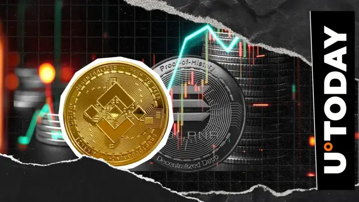 BNB Beats Solana With $142,896,778,122 Market Cap Spike, Rivals XRP