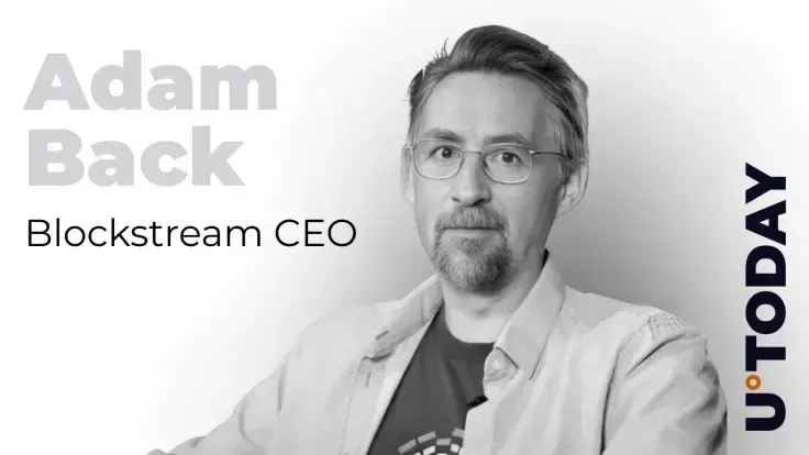 Lost Satoshi Blockchain Chat Resurfaces Years Later, Adam Back Weighs In