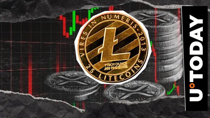 Viral XRP Hate Comment from Litecoin Gets Follow-Up