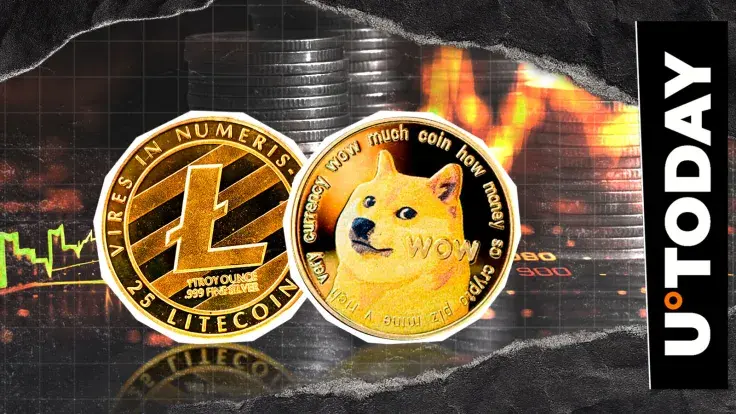 Dogecoin vs Litecoin: Top XRP Explorer Triggers Major Utility Battle