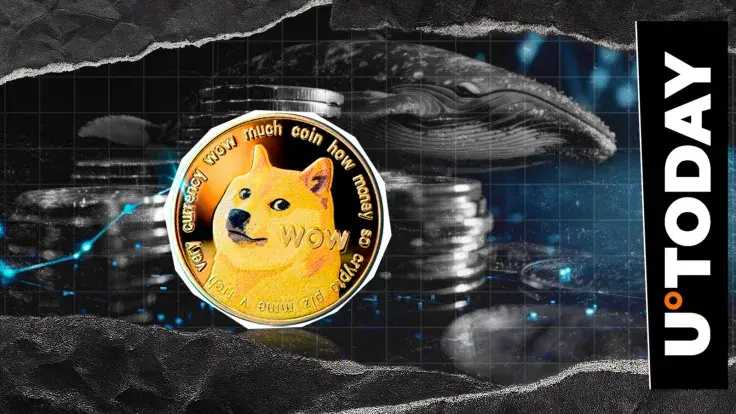 Dogecoin (DOGE) Whales Disappear