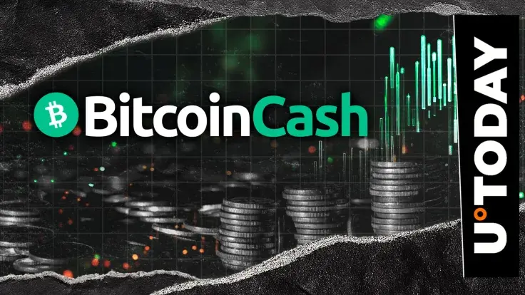 Bitcoin Cash Shines Amid Altcoin Bloodbath, Volume Jumps 32%