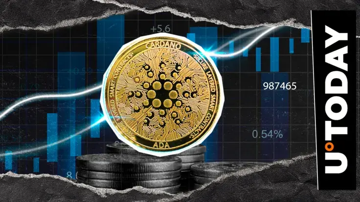 Can Cardano (ADA) Still Survive in Top 10 in 2025?