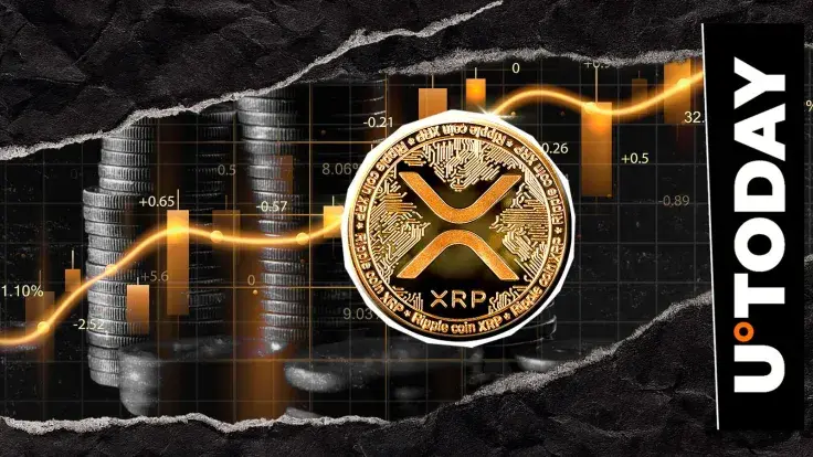 XRP Explodes 316.9% in Payment Volume, Silent Price Signal?